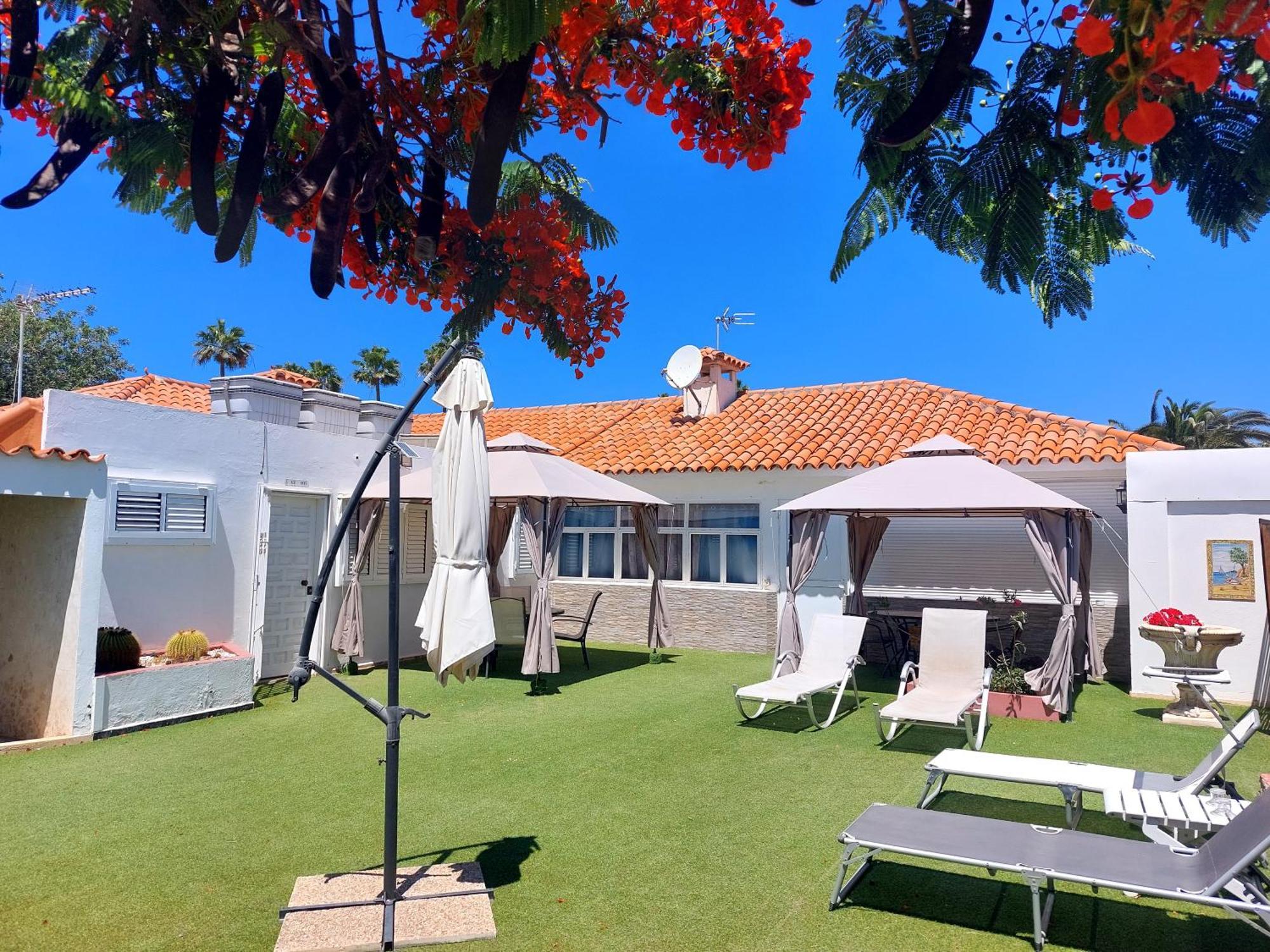 Bungalows Lapahi ปลายา เดล อิงเกลส ภายนอก รูปภาพ